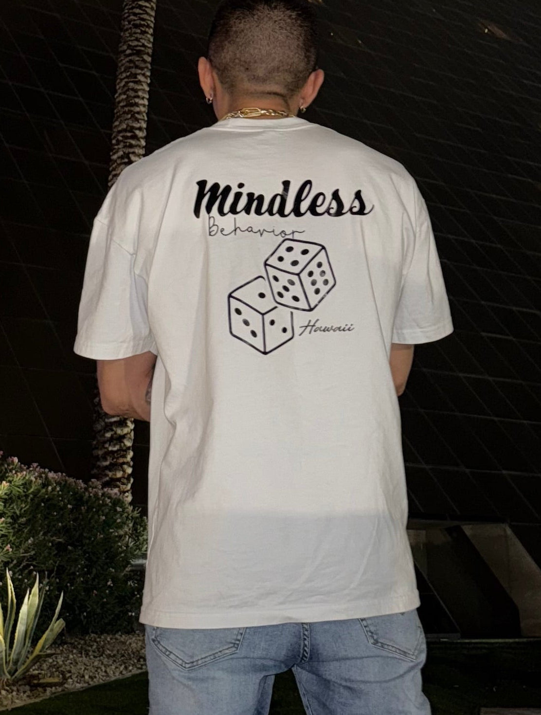 Mindless Behavior 777s